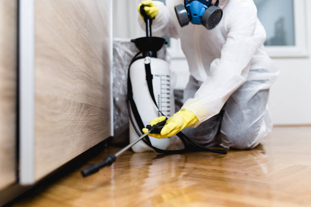 Best Pest Control for Restaurants  in Mowbray Mountain, TN
