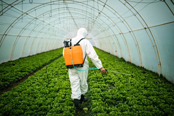 Pest Control for Restaurants in Mowbray Mountain, TN