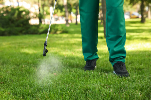 Best Bed Bug Extermination  in Mowbray Mountain, TN