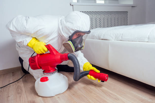 Best Affordable Pest Control Services  in Mowbray Mountain, TN