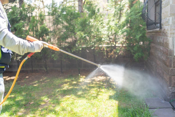 Best Local Pest Control Services  in Mowbray Mountain, TN
