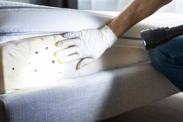 Best Cockroach Control Services  in Mowbray Mountain, TN