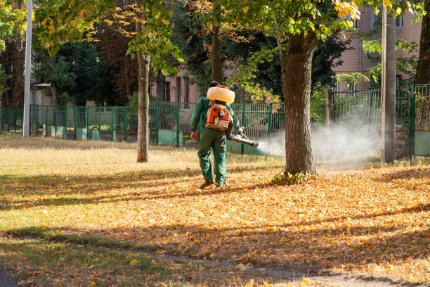 Reliable Mowbray Mountain, TN Pest Control Solutions
